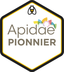 agence-web-pionnier-apidae