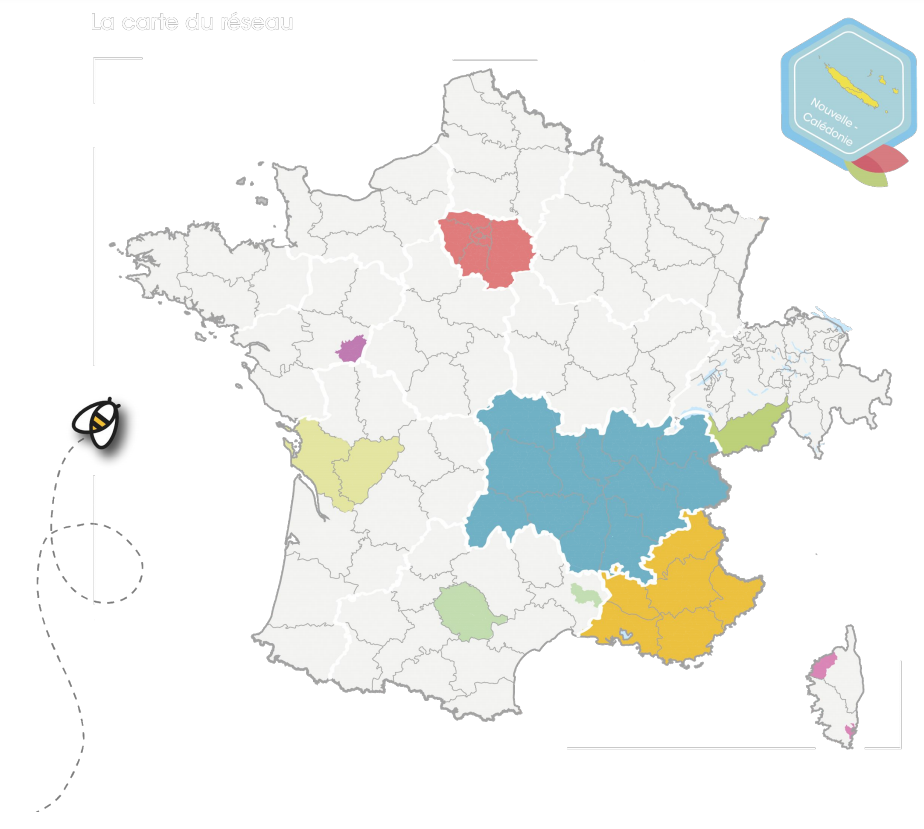 carte-reseau-apidae-apimill