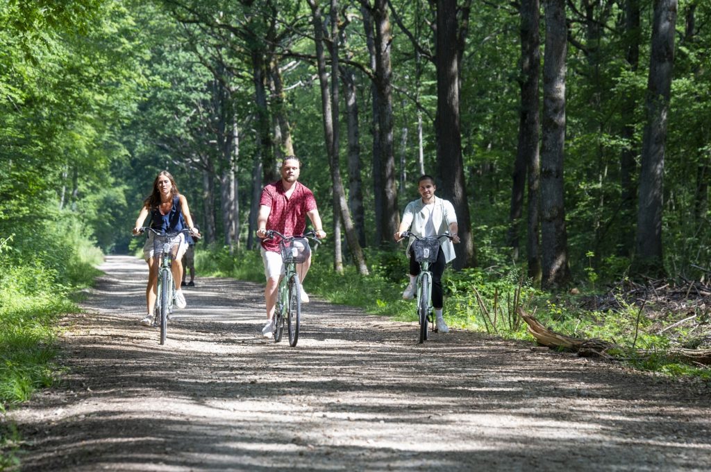 velo-foret-monceaux-tourisme_studio-mir