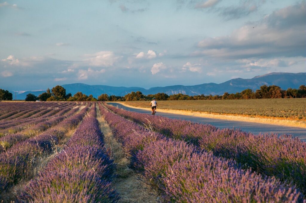 vtt-plateau-valensole